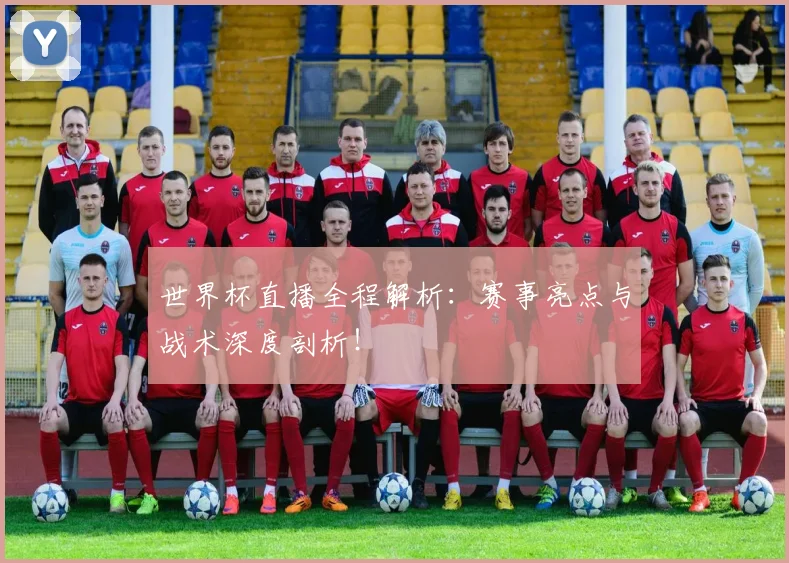世界杯直播全程解析:赛事亮点与战术深度剖析!