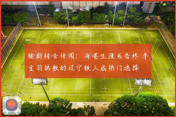 徐新转会传闻：海港生涯或告终 李金羽执教的辽宁铁人成热门选择